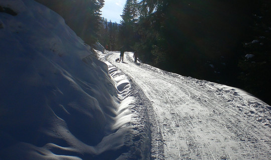 Rodelbahn Naviser Hütte