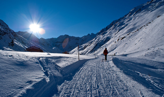 Rodelbahn Fotsch (Potsdamer Hütte)