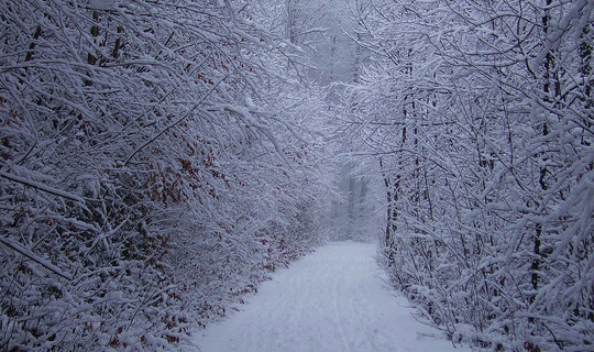 Rodelbahn Gsohl