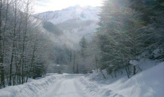 Rodelbahn Alt Bärnbad