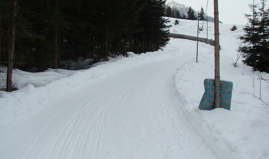 Rodelbahn Leppetal