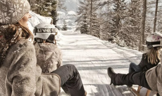 Naturrodelbahn "Bärenritt"