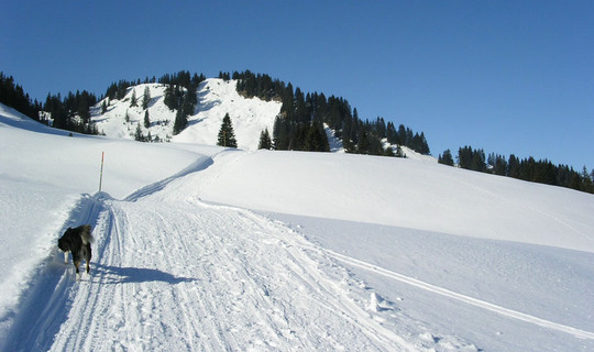 Rodelbahn Burgl-Hütte