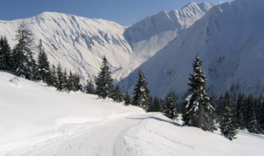 Rodelbahn Neuhornbach Haus