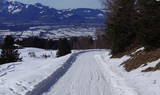 Rodelbahn Übersaxen - Gulmalpe