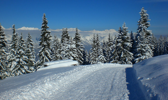 Rodelbahn Birgitzer Alm (vom Adelshof)