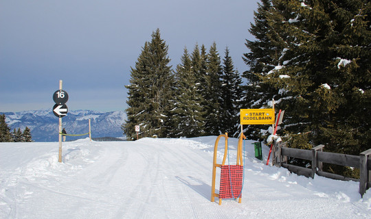 Rodelbahn Lanerköpfl