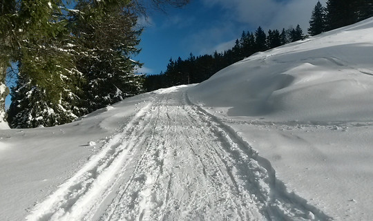 Rodeltour Kammeregg zur Grüntenhütte