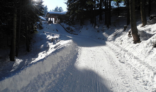 Rodelbahn Koglmoos