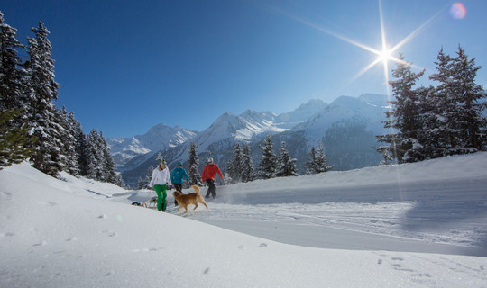 Rodelbahn Feldringalm