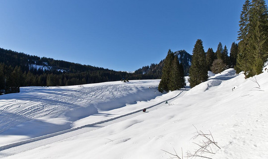 Rodelbahn Gunzesried – Alpe Rappengschwend