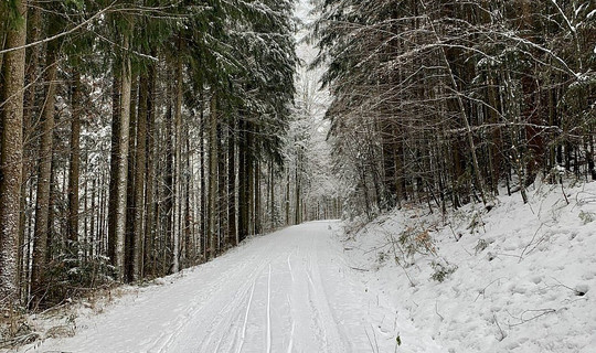 Rodelbahn Födinger Alm