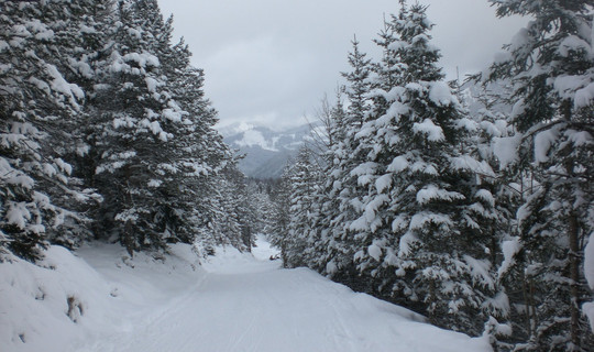 Rodelbahn Christlum