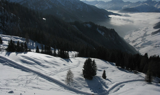 Rodelbahn Stöckl Alm