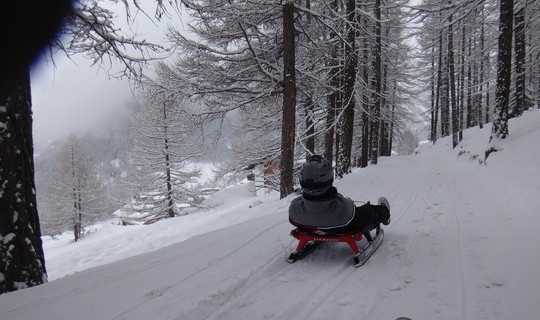 Rodelbahn Saas-Fee