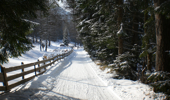 Rodelbahn Brunntal