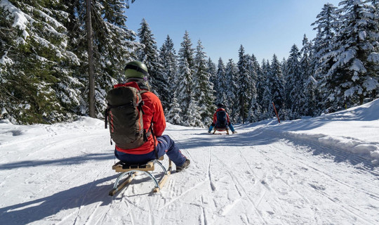 Naturrodelbahn Hoher Sattel