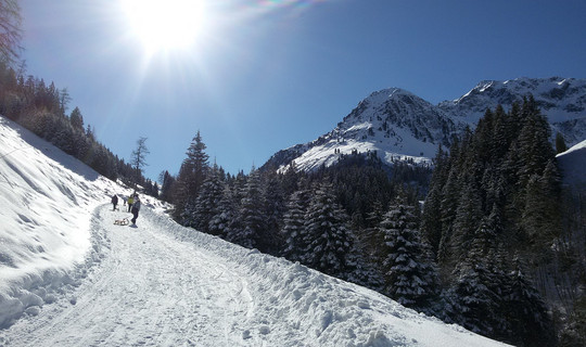 Rodelbahn Faulbaumgartenalm