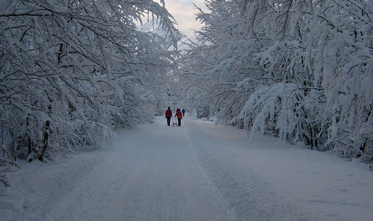 Rodelbahn Halltal