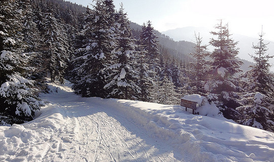 Rodelbahn Volderberg Krepperhütte