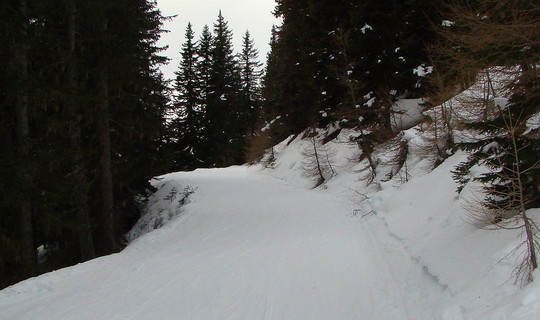 Rodelweg Compedal