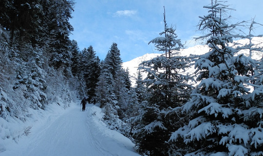 Rodelbahn Brandstatt Alm