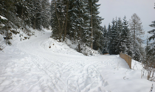 Rodelbahn Kupfnerberg