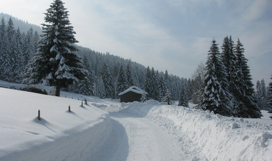 Rodelbahn Hochlitten-Moosalpe