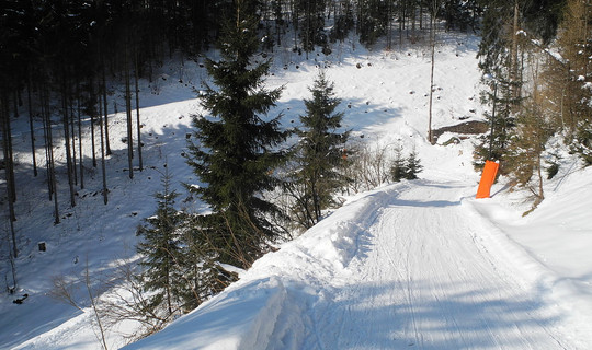 Rodelbahn Wiesing Breitlahn