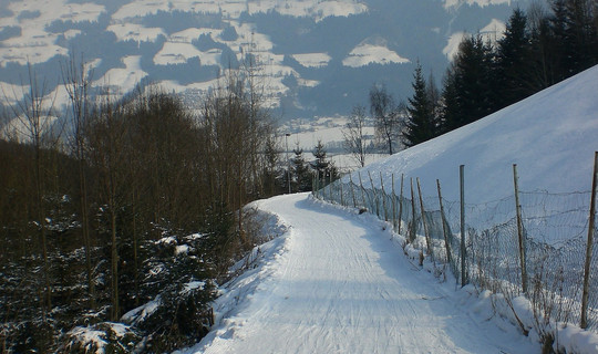 Rodelbahn Goglhof