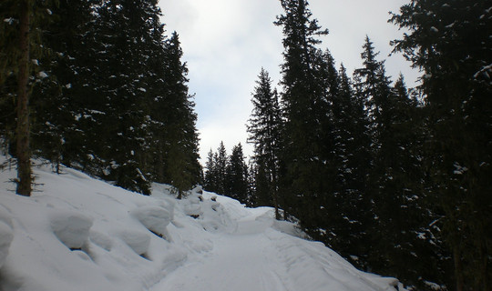 Rodelbahn Pleisenhütte Axamer Lizum