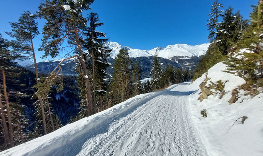 Rodelbahn Sölden - Stallwies Alm